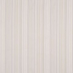 Robert Allen Lallybroch Sand Dollar 160743 Indoor Upholstery Fabric