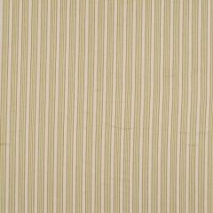 Robert Allen Day Trip Bamboo 160874 Indoor Upholstery Fabric