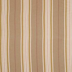 Robert Allen Degostino Bamboo Color Library Collection Indoor Upholstery Fabric