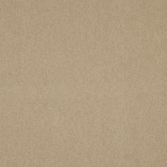 Robert Allen Orvis Twig 160987 Indoor Upholstery Fabric