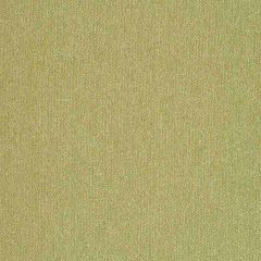Robert Allen Contract Galway Celery 117223 Indoor Upholstery Fabric