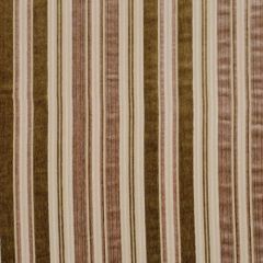 Robert Allen Maroulis Bamboo 161010 Indoor Upholstery Fabric