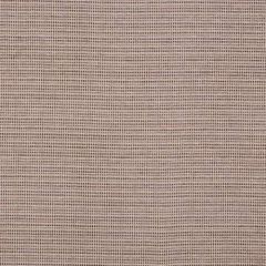 Robert Allen Chuleta Twig 161095 Indoor Upholstery Fabric