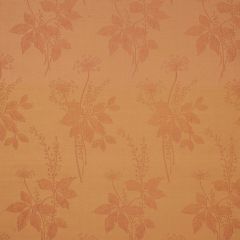 Robert Allen First Morning Desert Color Library Collection Indoor Upholstery Fabric
