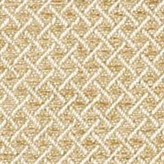 Beacon Hill Weavers Dream Antique Gold Color Library Collection Indoor Upholstery Fabric