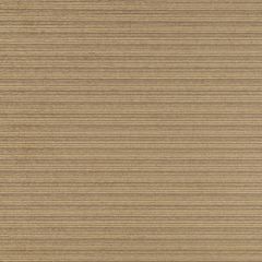 Robert Allen Contract Carrick Bend Driftwood 163685 Indoor Upholstery Fabric