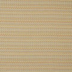 Robert Allen Peat Bog Tidal Modern Library Collection Indoor Upholstery Fabric