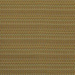 Robert Allen Peat Bog Kelp Modern Library Collection Indoor Upholstery Fabric
