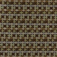 Robert Allen Boyle Safari 164010 Indoor Upholstery Fabric