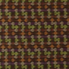 Robert Allen Boyle Cajun 164013 Indoor Upholstery Fabric