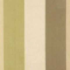 Robert Allen Kerrykell Safari 164015 Indoor Upholstery Fabric