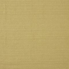 Robert Allen Circle Of Life Aloe 164091 Indoor Upholstery Fabric
