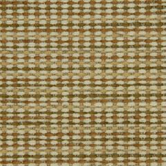 Robert Allen Wexford Boys Nugget Essentials Collection Indoor Upholstery Fabric