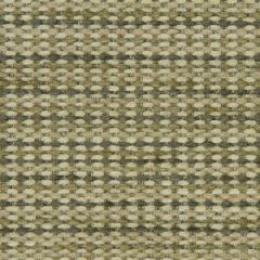 Robert Allen Wexford Boys Fawn Essentials Collection Indoor Upholstery Fabric