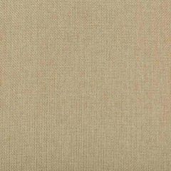 Kravet Contract Williams Linen 35744-16 Performance Kravetarmor Collection Indoor Upholstery Fabric