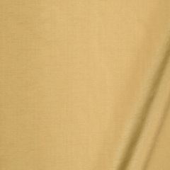 Robert Allen Tramore II-Honey 193774 Decor Multi-Purpose Fabric