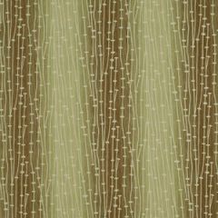 Robert Allen Contract Translucent Fennel 492 Indoor Upholstery Fabric