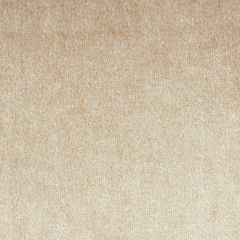 Robert Allen Verdant Dune Essentials Collection Indoor Upholstery Fabric