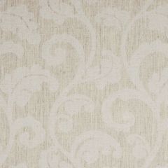 Robert Allen Quite Splendid Pumice 166901 by Larry Laslo Indoor Upholstery Fabric