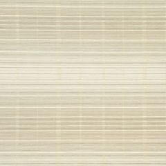 Robert Allen High Profile Mica 166953 by Larry Laslo Indoor Upholstery Fabric