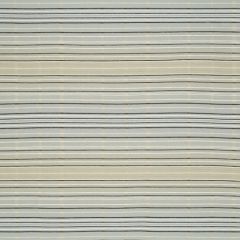 Robert Allen High Profile Tidal 167016 Indoor Upholstery Fabric