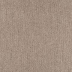 Robert Allen Innerve Quartz 167071 Indoor Upholstery Fabric