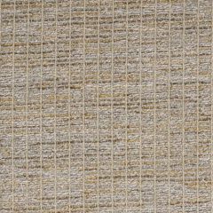 Robert Allen Enliven Pumice 167144 by Larry Laslo Indoor Upholstery Fabric