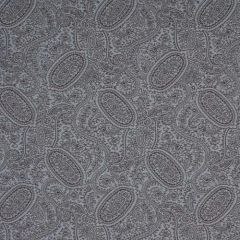 Robert Allen Contract Paisley Lagoon Beachglass 167736 Sunweather Collection Upholstery Fabric