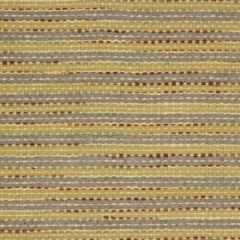 Robert Allen Adneris Wheat 167960 Multipurpose Fabric