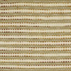 Robert Allen Adneris Honey 167963 Multipurpose Fabric