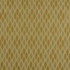 Robert Allen Eulalia Nugget 168072 Multipurpose Fabric