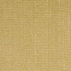 Robert Allen Eneko Lemongrass Essentials Multi Purpose Collection Indoor Upholstery Fabric