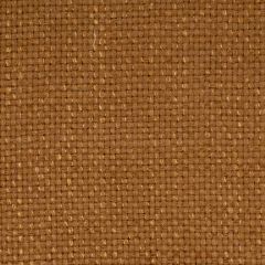 Robert Allen Eneko Havana Essentials Multi Purpose Collection Indoor Upholstery Fabric