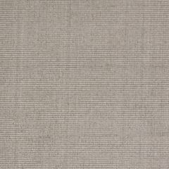 Robert Allen Imelda Pewter 168210 Multipurpose Fabric
