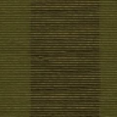 Beacon Hill Ramona Stripe Kale 168244 Indoor Upholstery Fabric