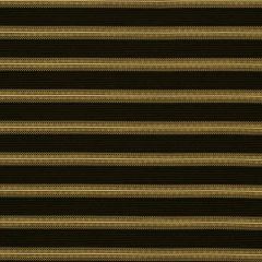 Robert Allen Valencia Way Caviar Color Library Collection Indoor Upholstery Fabric