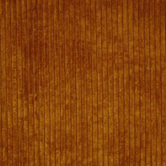 Robert Allen Carupano Caramel Color Library Multipurpose Collection Indoor Upholstery Fabric