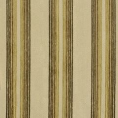Robert Allen Olimpo Birch 168825 Indoor Upholstery Fabric