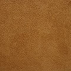 Kravet Design Sand L-Saguaro Indoor Upholstery Fabric