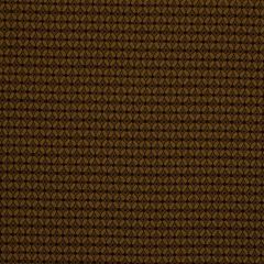 Robert Allen Dantzler Caviar Color Library Collection Indoor Upholstery Fabric