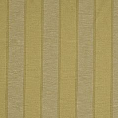 Robert Allen Mayenne Oro 169732 Indoor Upholstery Fabric