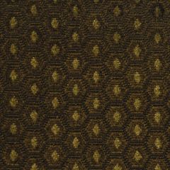 Beacon Hill Lothario Earth 169739 Indoor Upholstery Fabric