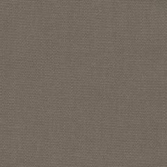 Perennials Canvas Weave Storm 600-20 More Amore Collection Upholstery Fabric