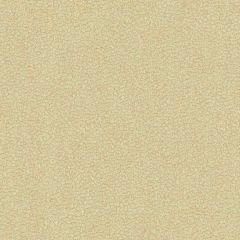 Kravet Jatoba Oyster 34177-16 by Candice Olson Indoor Upholstery Fabric