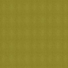 Kravet Moccasin Green 303 Indoor Upholstery Fabric