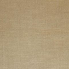 Robert Allen Savoy Pongee 082251 Velvet Luxe Collection Indoor Upholstery Fabric