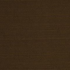 Robert Allen Circle Of Life Jasmine 170155 Indoor Upholstery Fabric