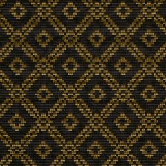 Robert Allen Double Delight Nightfall Modern Library Collection Indoor Upholstery Fabric