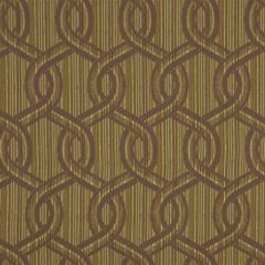 Robert Allen Carrowkeel Jasmine 170604 Indoor Upholstery Fabric