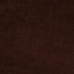 Robert Allen Sensuede II Coffee Bean Essentials Collection Indoor Upholstery Fabric